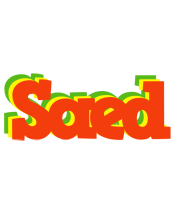 Saed bbq logo