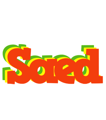 Saed bbq logo