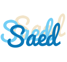 Saed breeze logo