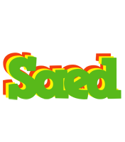 Saed crocodile logo