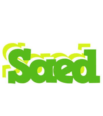 Saed picnic logo