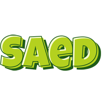 Saed summer logo