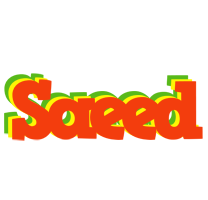 Saeed bbq logo