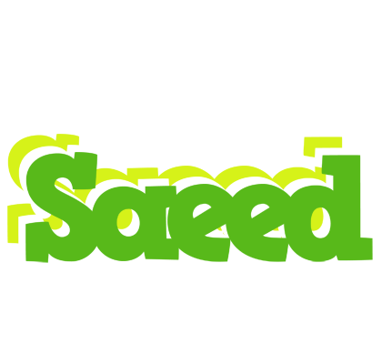 Saeed picnic logo