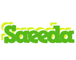 Saeeda picnic logo