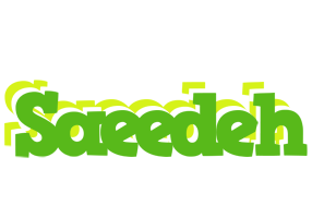 Saeedeh picnic logo