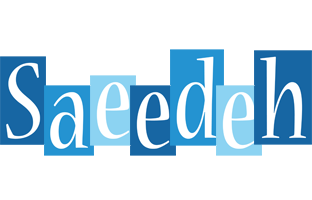 Saeedeh winter logo