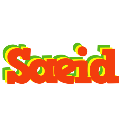 Saeid bbq logo
