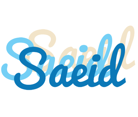 Saeid breeze logo