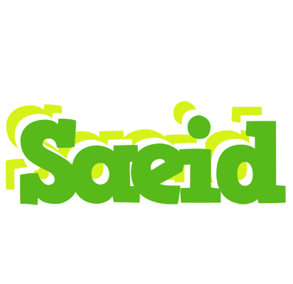 Saeid picnic logo