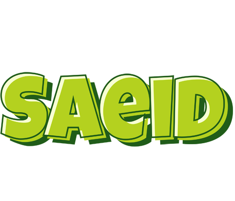 Saeid summer logo