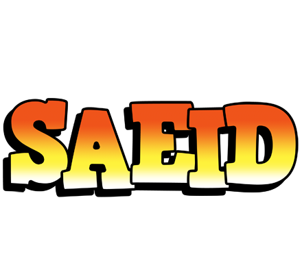 Saeid sunset logo