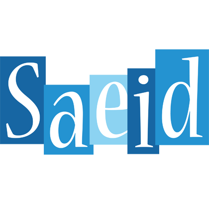 Saeid winter logo