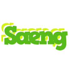 Saeng picnic logo