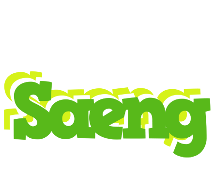 Saeng picnic logo