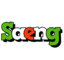 Saeng venezia logo