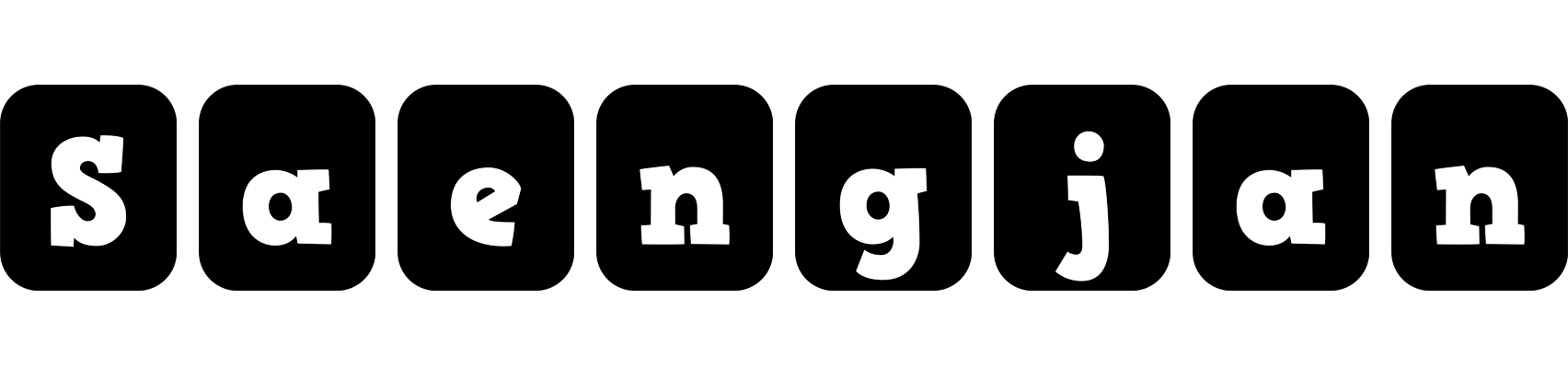 Saengjan box logo