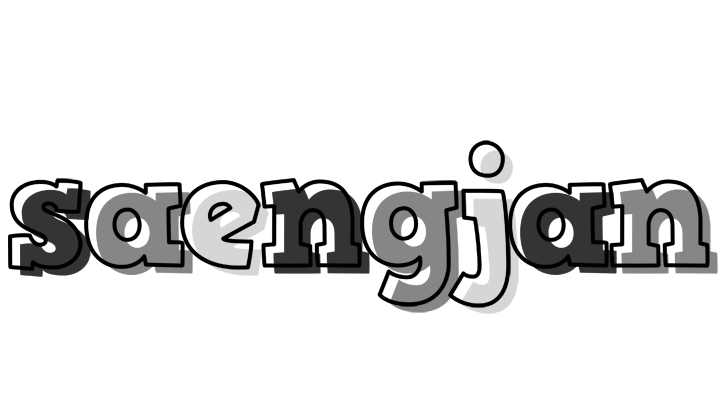 Saengjan night logo