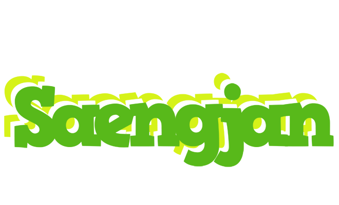 Saengjan picnic logo