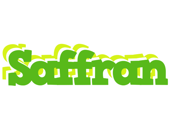 Saffran picnic logo