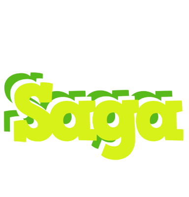 Saga citrus logo