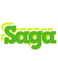 Saga picnic logo