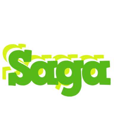 Saga picnic logo