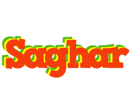 Saghar bbq logo