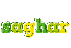 Saghar juice logo