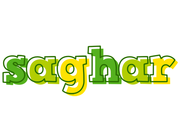 Saghar juice logo