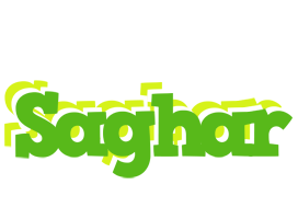 Saghar picnic logo