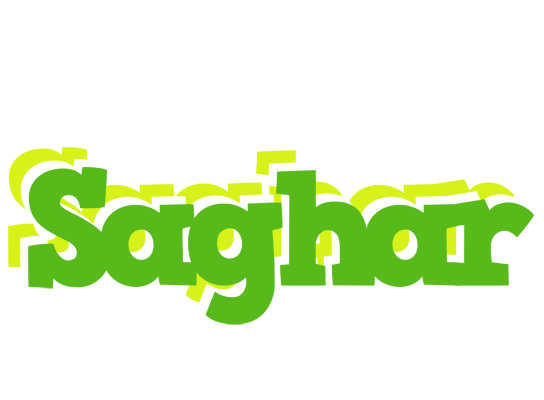 Saghar picnic logo