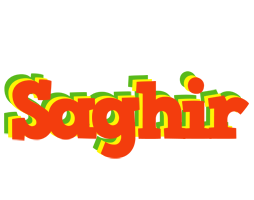 Saghir bbq logo