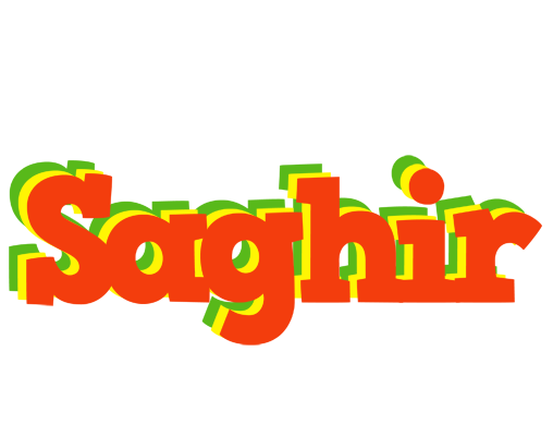 Saghir bbq logo
