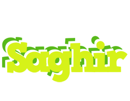 Saghir citrus logo