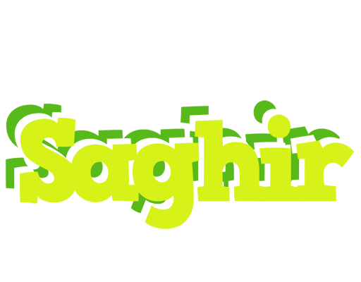 Saghir citrus logo