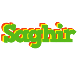 Saghir crocodile logo