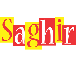 Saghir errors logo