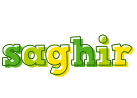 Saghir juice logo