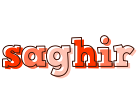 Saghir paint logo