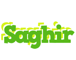 Saghir picnic logo