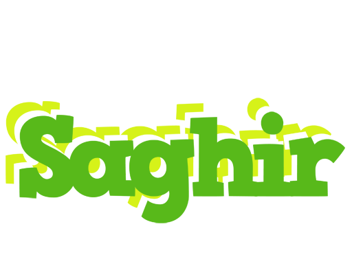 Saghir picnic logo