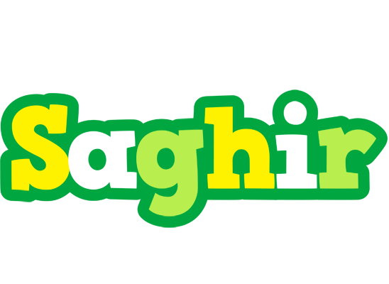 Saghir soccer logo