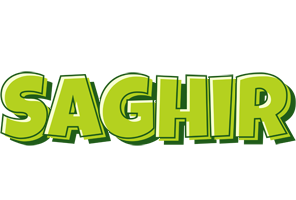 Saghir summer logo