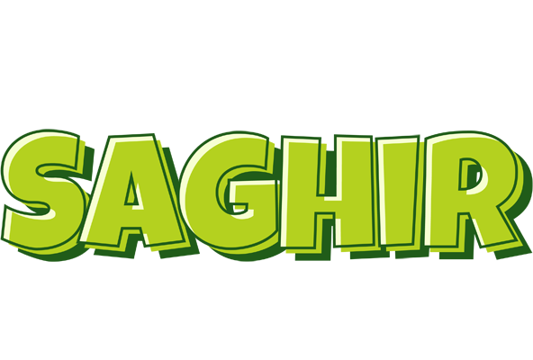 Saghir summer logo