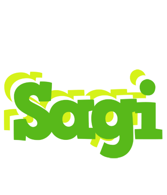 Sagi picnic logo