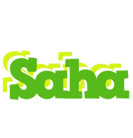 Saha picnic logo