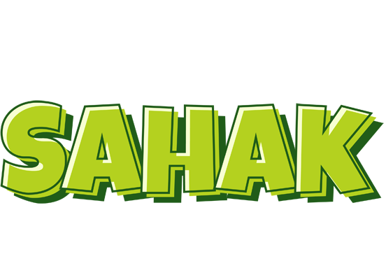 Sahak summer logo
