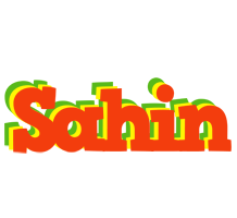 Sahin bbq logo