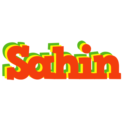 Sahin bbq logo